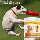 Amazing Turmeric for Dogs Curcumin Pet Antioxidant