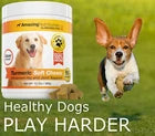 Amazing Turmeric for Dogs Curcumin Pet Antioxidant
